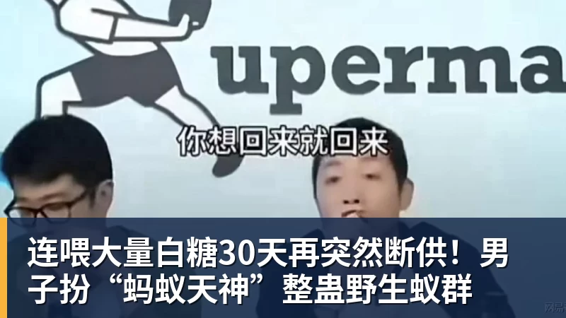 华体会体育连喂大量白糖30天再突然断供！男子扮“蚂蚁天神”整蛊野生蚁群